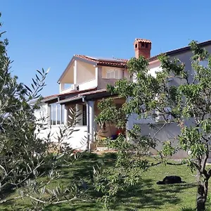 Bellavista , Rovinjsko Selo Kroatien